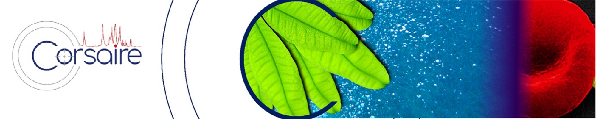 Corsaire, plate-forme de Métabolomique et de Fluxomique de Biogenouest