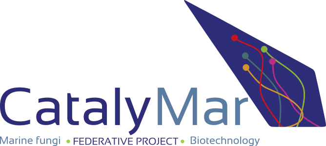 Catalymar