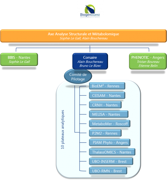 Organigramme