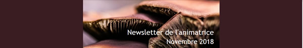 Newsletter_novembre2018