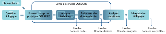 schema_services_general